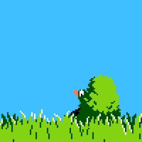 duck hunt
